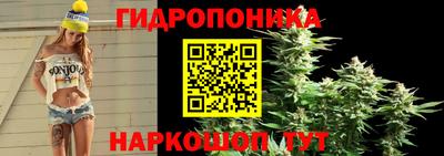 мдпв Апшеронск